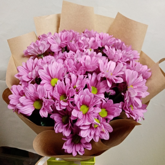 Букет из 9 розовых кустовых хризантем Бакарди (ромашка) в корейской упаковке