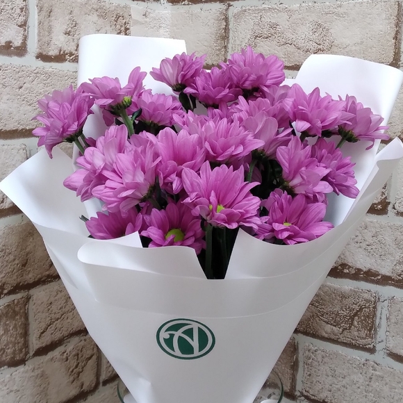 Букет из 5 розовых кустовых хризантем Бакарди (ромашка) в корейской упаковке