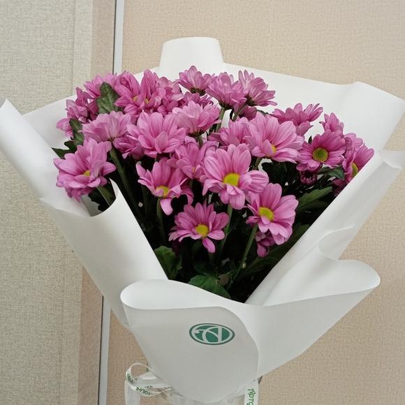 Букет из 5 розовых кустовых хризантем Бакарди (ромашка) в корейской упаковке