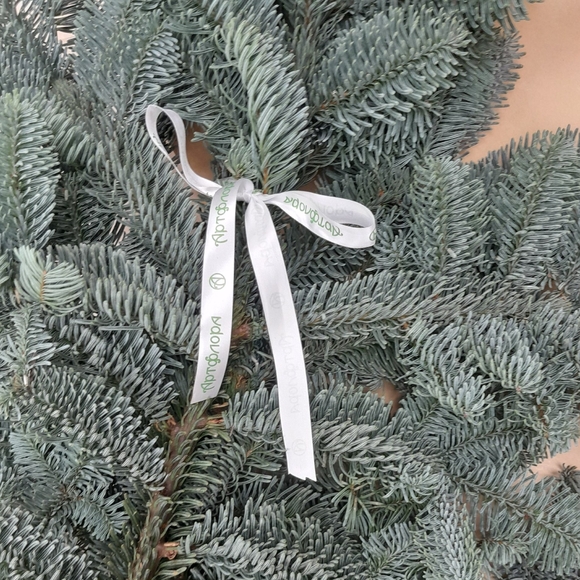 Ветка датской пихты нобилис - средняя