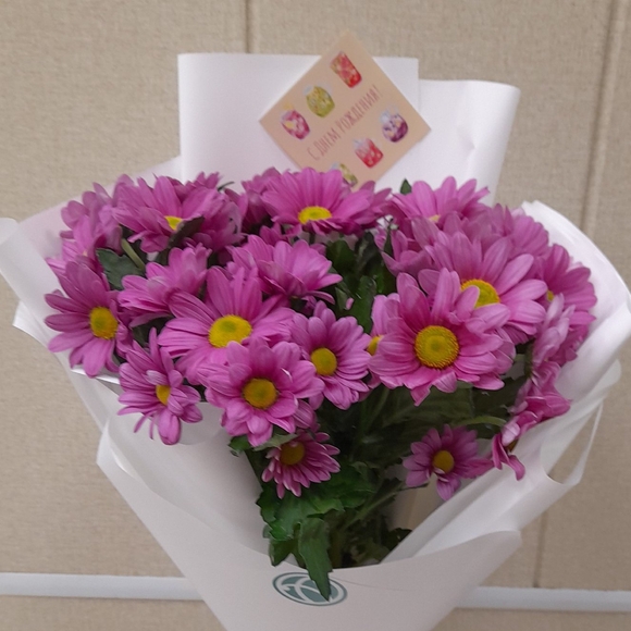 Букет из 5 розовых кустовых хризантем Бакарди (ромашка) в корейской упаковке