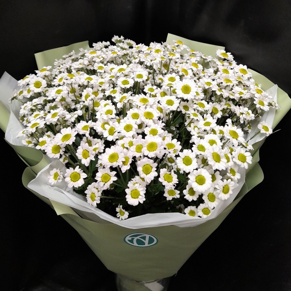 Букет из 15 белых кустовых хризантем Сантини в корейской упаковке