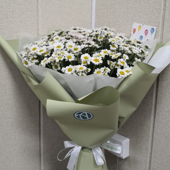 Букет из 15 белых кустовых хризантем Сантини в корейской упаковке