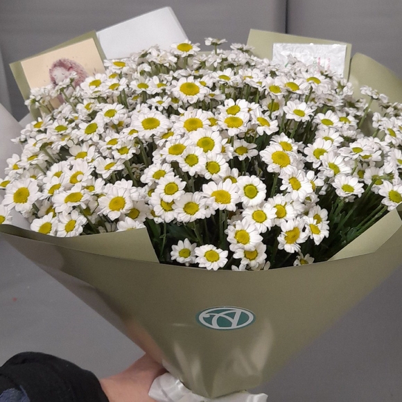 Букет из 15 белых кустовых хризантем Сантини в корейской упаковке