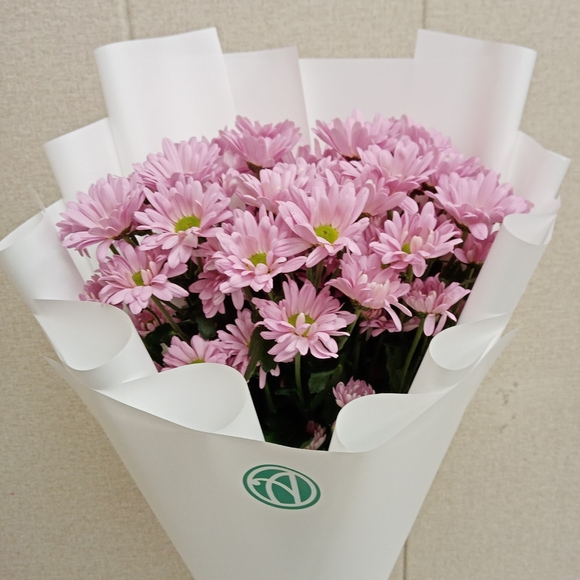 Букет из 5 розовых кустовых хризантем Бакарди (ромашка) в корейской упаковке