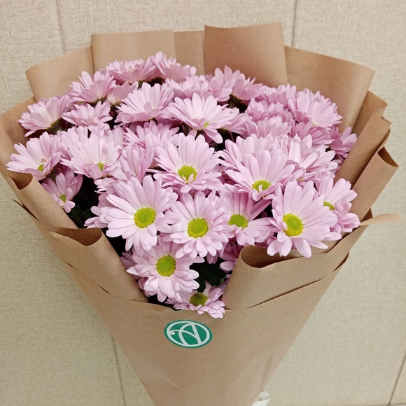 Букет из 9 розовых кустовых хризантем Бакарди (ромашка) в корейской упаковке