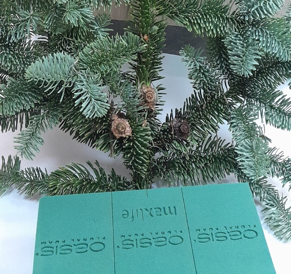 Оазис (флористическая губка)