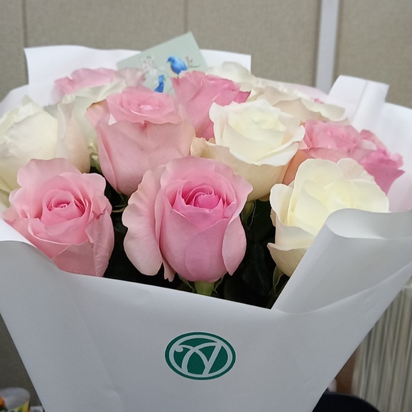 Букет из 15 розовых и белых роз Кения (35 см) в корейской упаковке