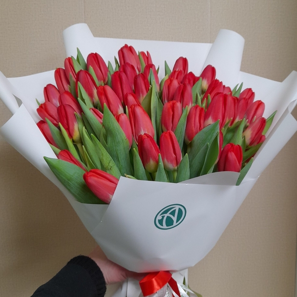 Букет из 51 красного тюльпана (Голландия) в корейской упаковке