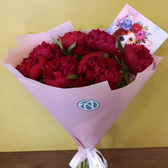 Букет из 7 бордовых пионов (Россия)