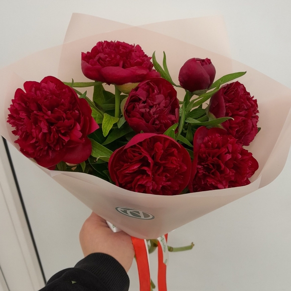 Букет из 7 бордовых пионов (Россия)