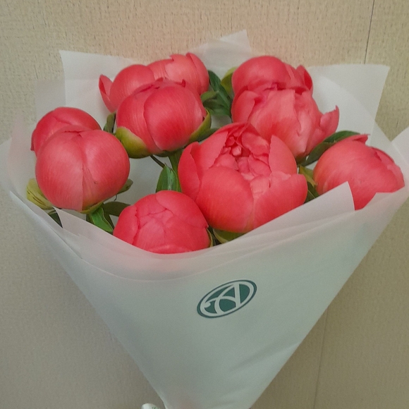 Букет из 9 коралловых пионов (Голландия)