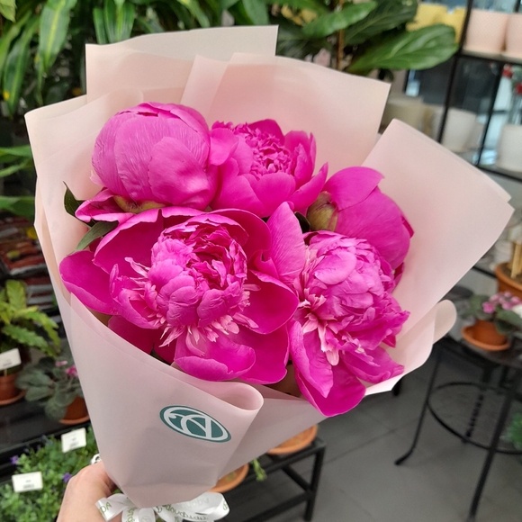 Букет из 5 малиновых пионов (Россия)