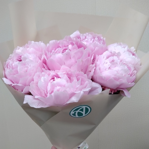 Букет из 7 розовых пионов (Голландия)