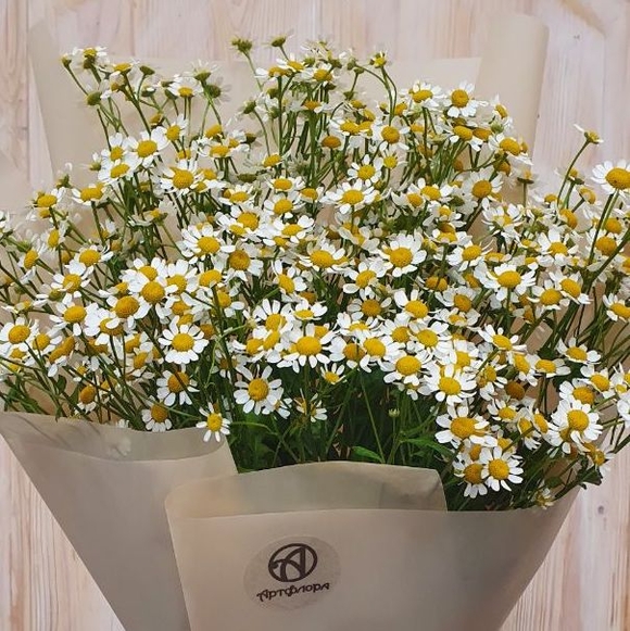 Букет из 9 кустовых ромашек (матрикарий)