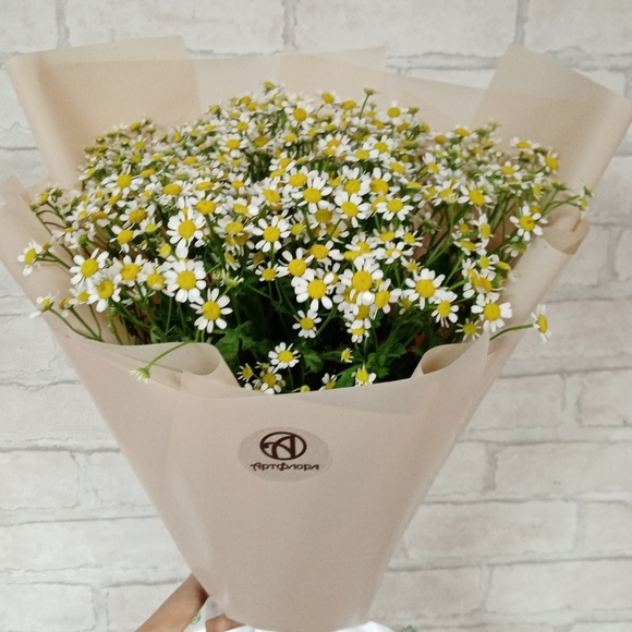 Букет из 9 кустовых ромашек (матрикарий)