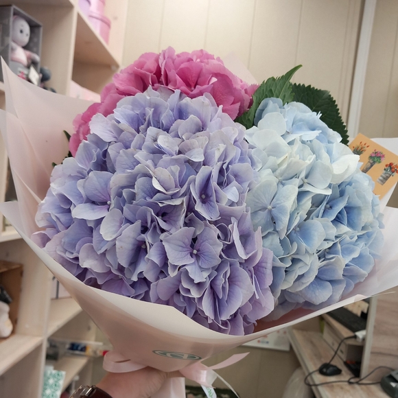 Букет из 3 гортензий микс