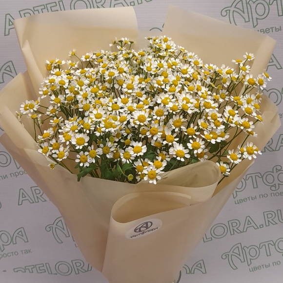 Букет из 9 кустовых ромашек (матрикарий)