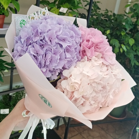 Букет из 3 гортензий микс