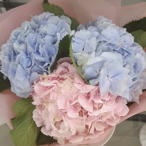 Букет из 3 гортензий микс