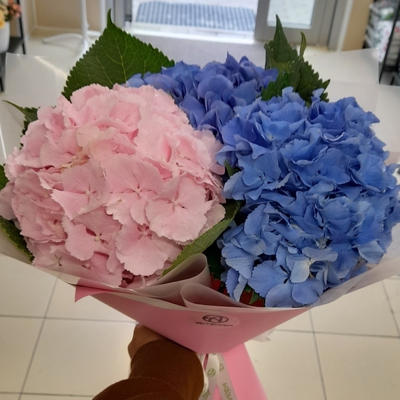 Букет из 3 гортензий микс