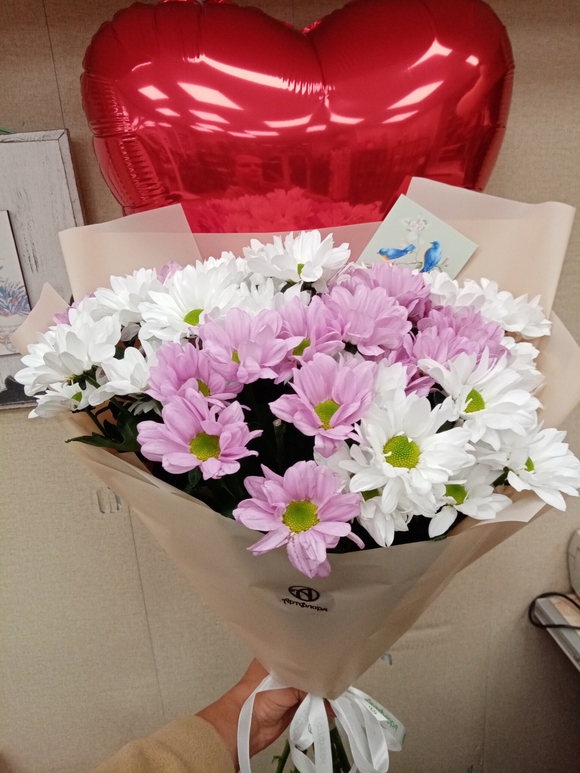 Набор размер S с букетом из 9 белых и розовых кустовых хризантем Бакарди (ромашка) в корейской упаковке