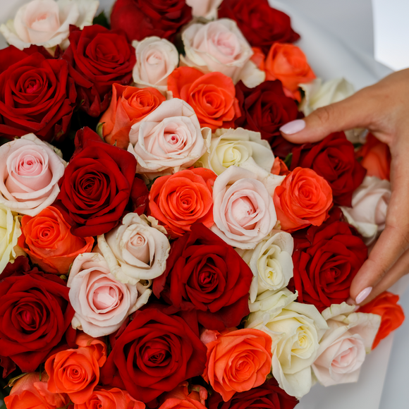 Роза яркий микс 40-50 см (Россия) поштучно