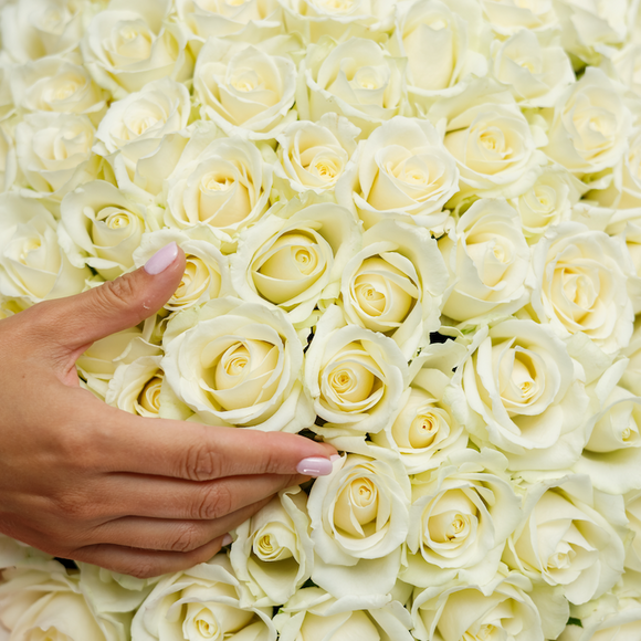 Букет из 101 белой розы 50 см (Россия)