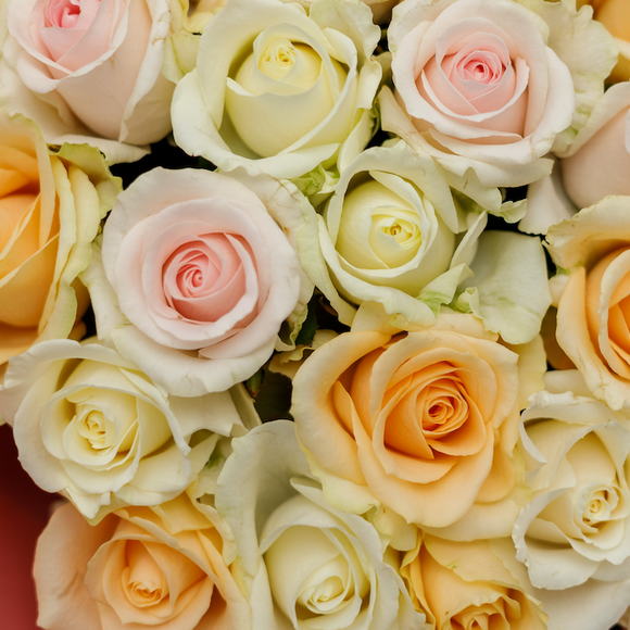 Роза нежный микс 40-50 см (Россия) поштучно