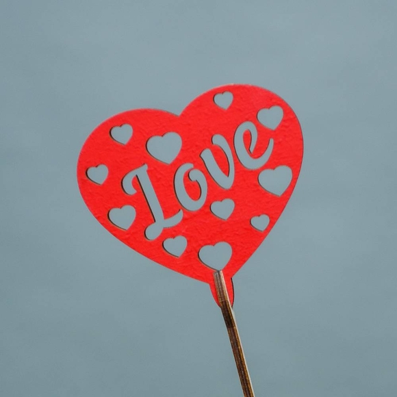 Набор размер L+ с букетом 51 красная и белая роза Кения (50 см)