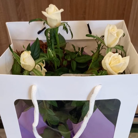 Роза Кордана в цветочной сумочке белая