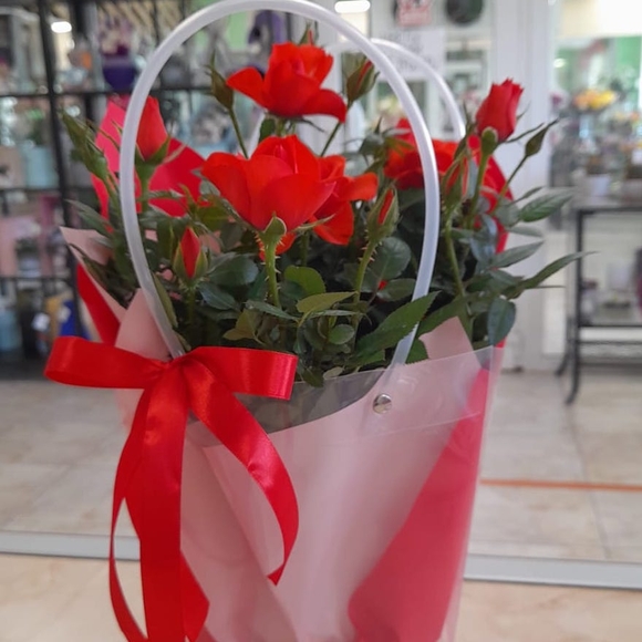 Роза Кордана в цветочной сумочке красная