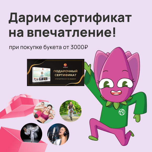 Сертификат Эмпранра (акция)