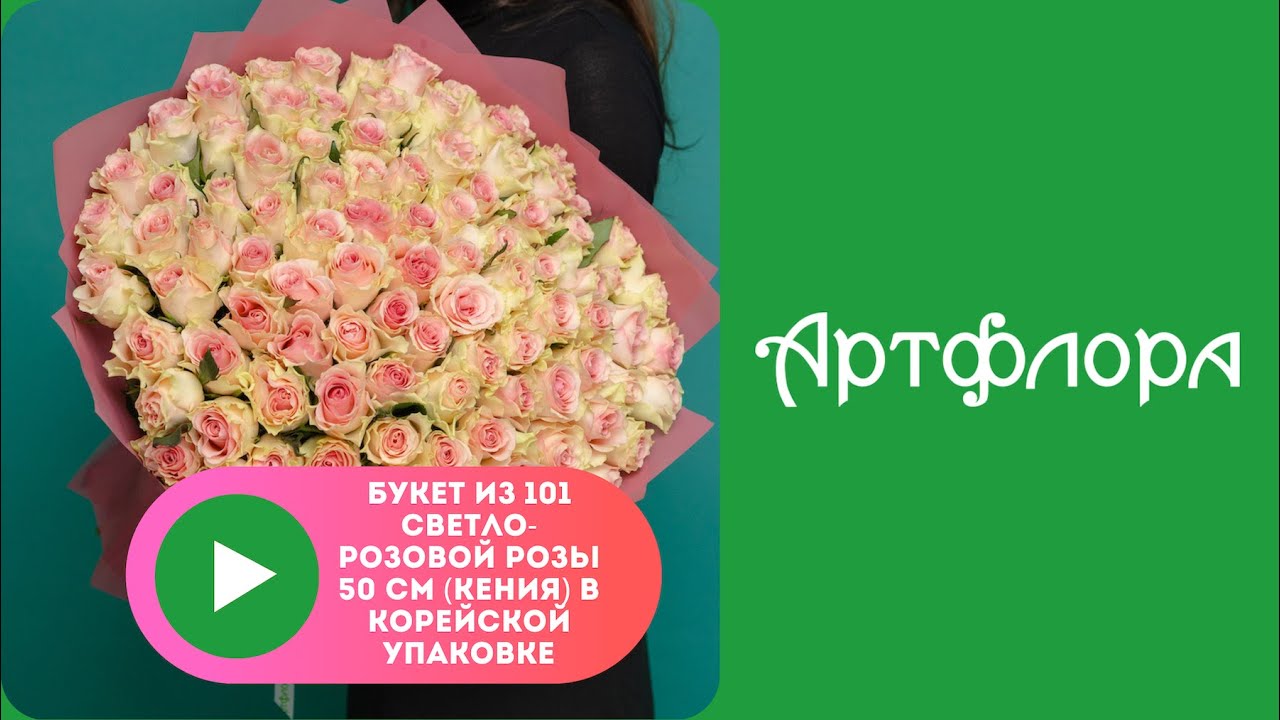 Embedded thumbnail for Букет из 101 светло-розовой розы 50 см (Кения) в корейской упаковке