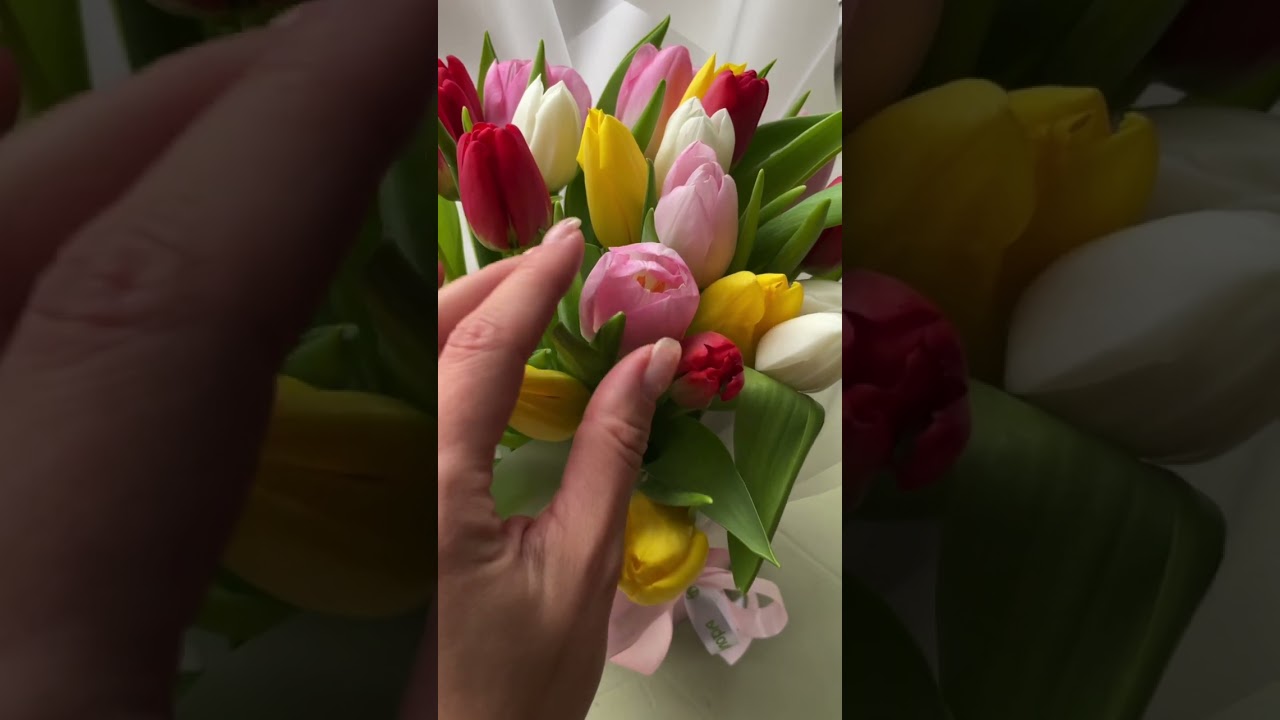 Embedded thumbnail for Букет в шляпной коробке из 25 тюльпанов яркий микс